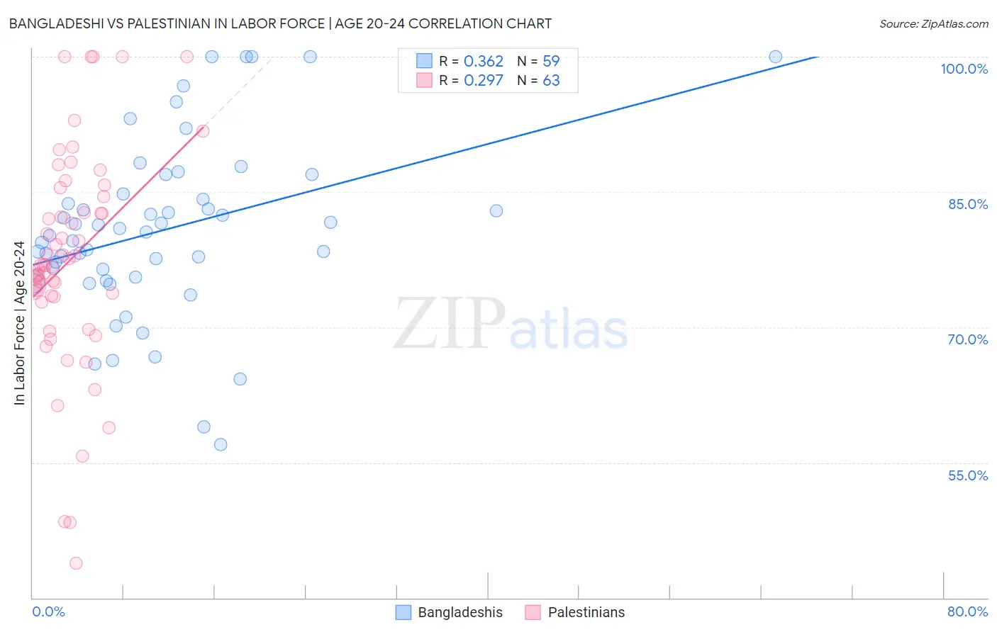Bangladeshi vs Palestinian In Labor Force | Age 20-24