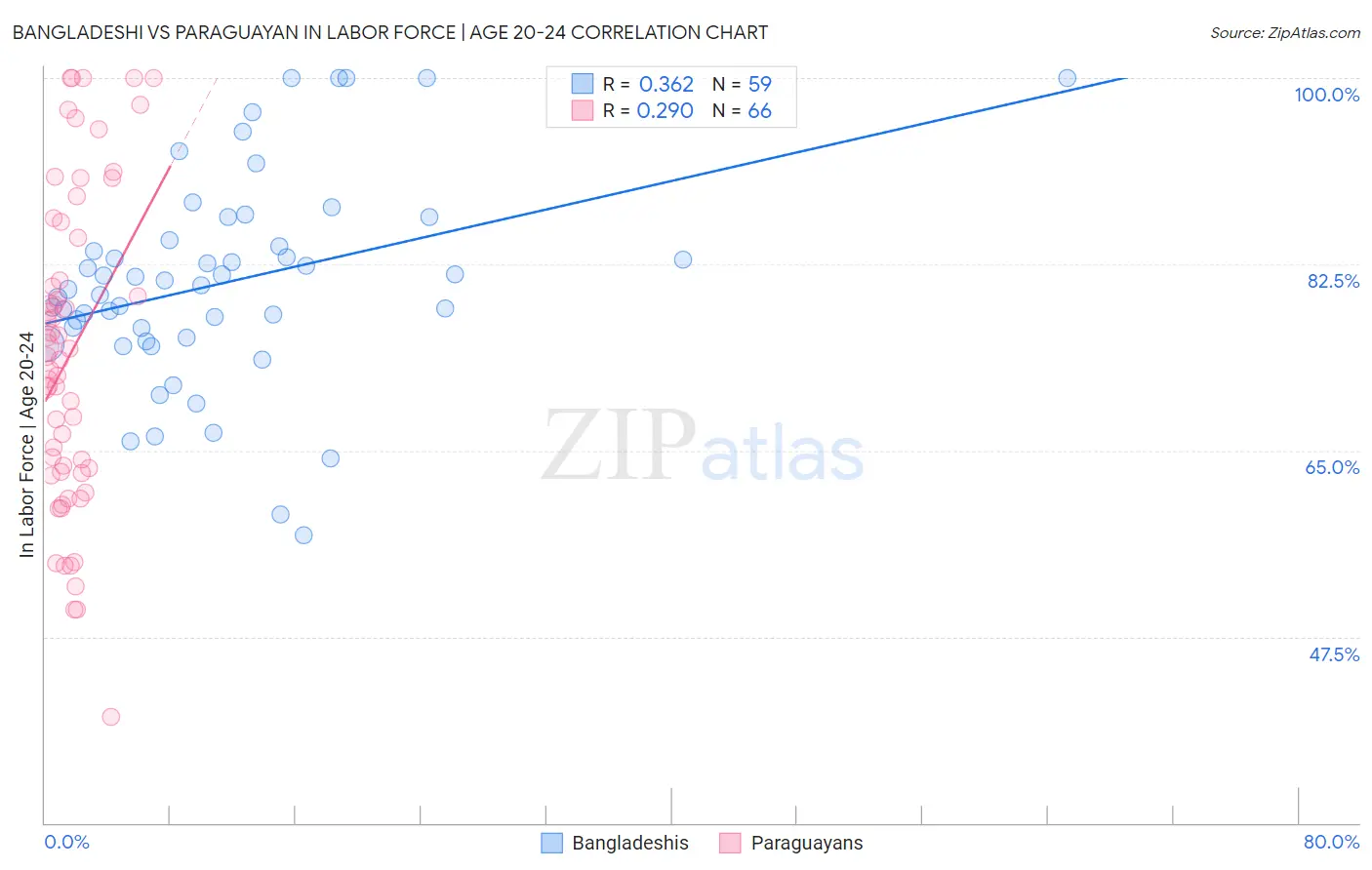 Bangladeshi vs Paraguayan In Labor Force | Age 20-24