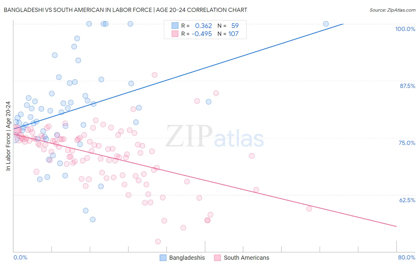 Bangladeshi vs South American In Labor Force | Age 20-24