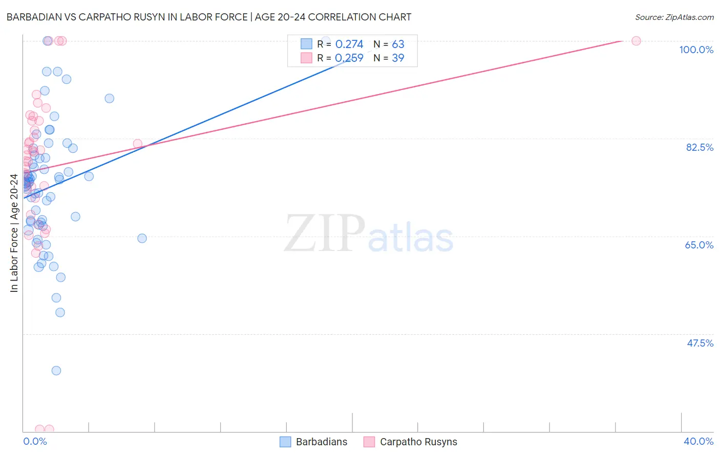Barbadian vs Carpatho Rusyn In Labor Force | Age 20-24