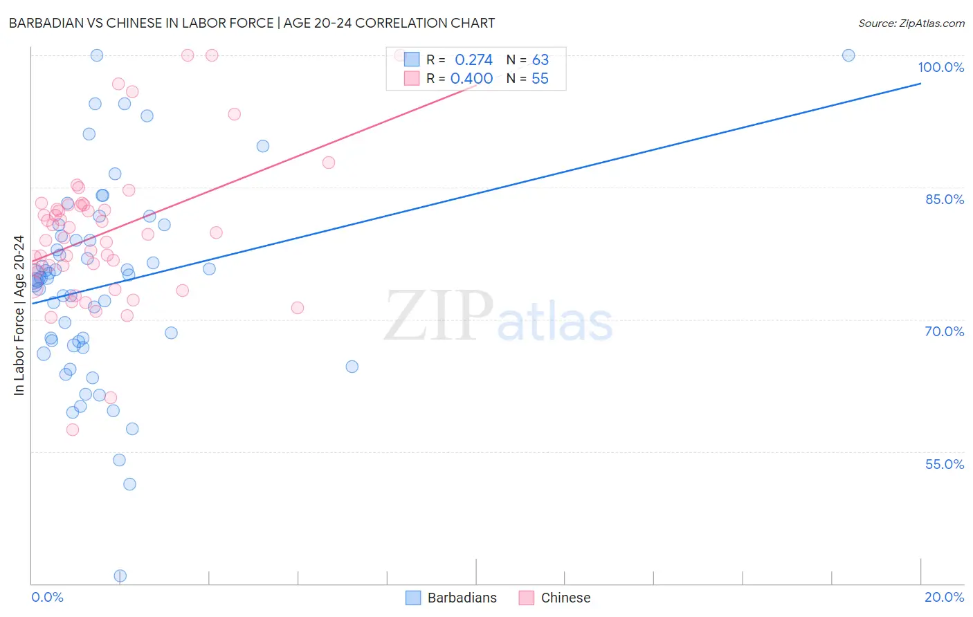 Barbadian vs Chinese In Labor Force | Age 20-24