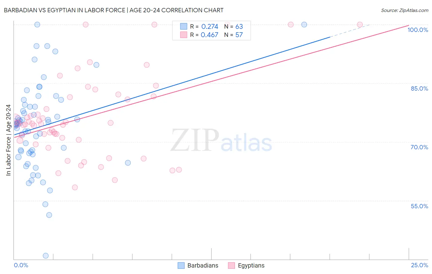 Barbadian vs Egyptian In Labor Force | Age 20-24