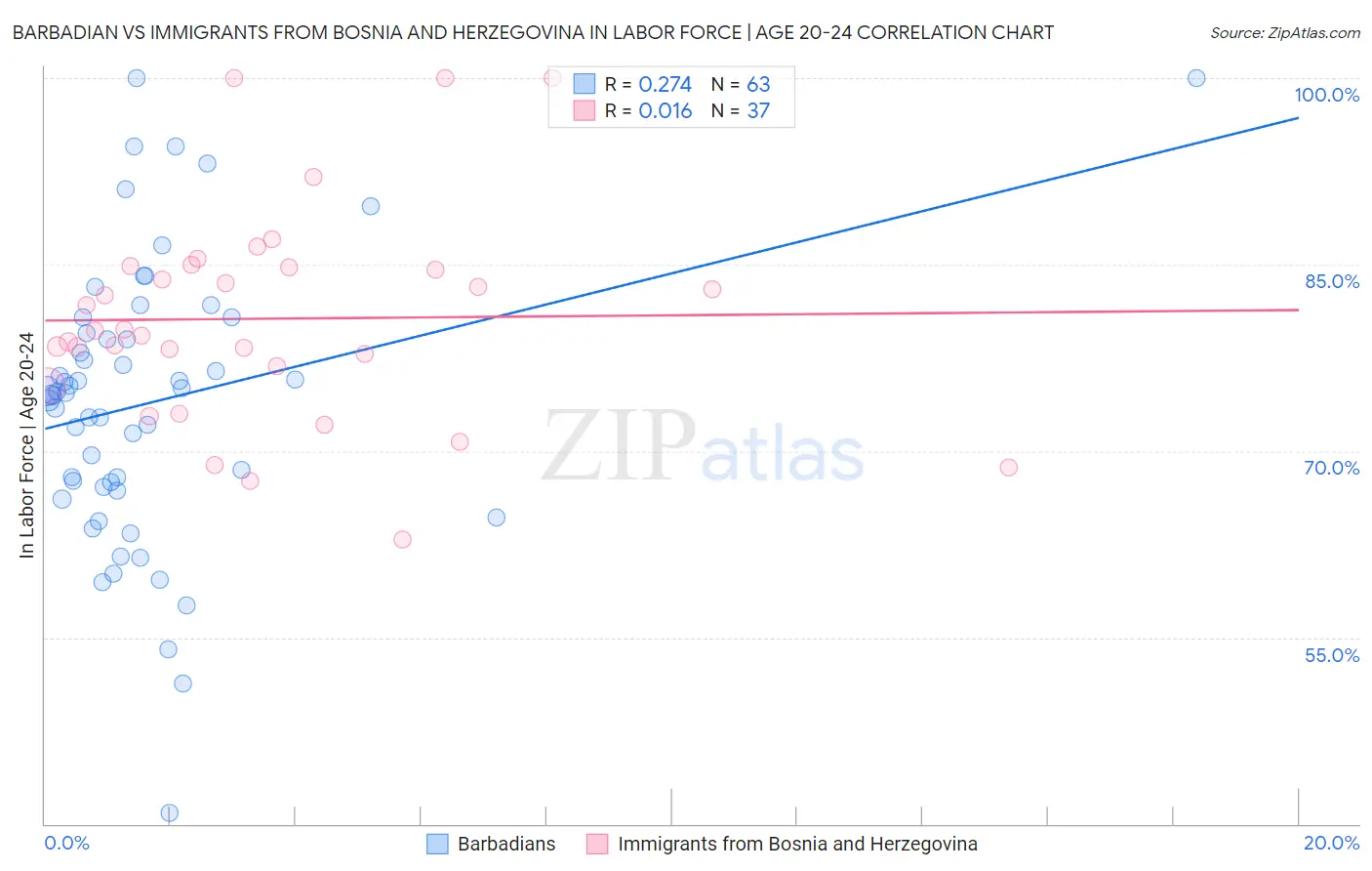 Barbadian vs Immigrants from Bosnia and Herzegovina In Labor Force | Age 20-24