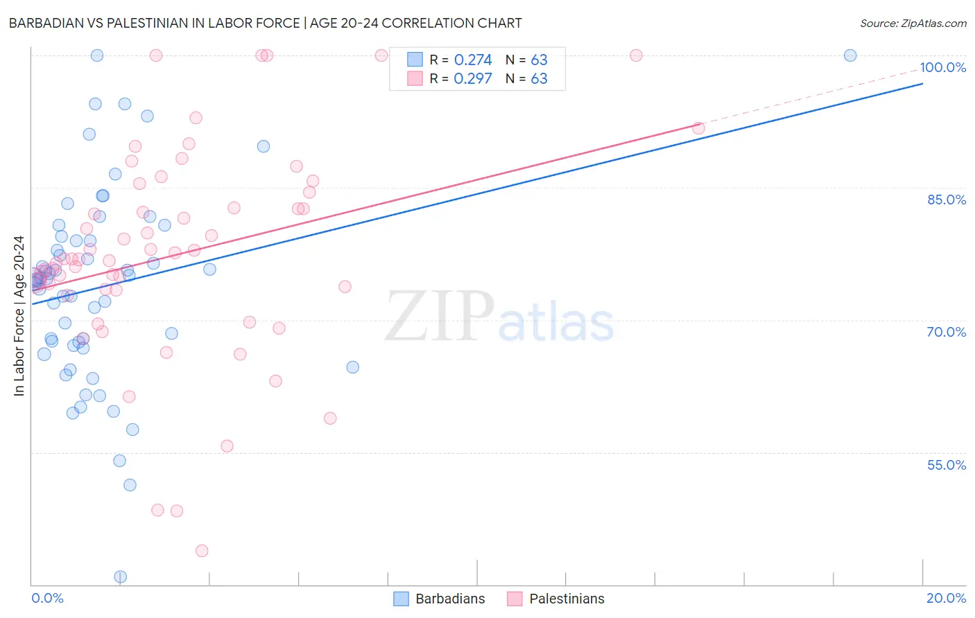 Barbadian vs Palestinian In Labor Force | Age 20-24