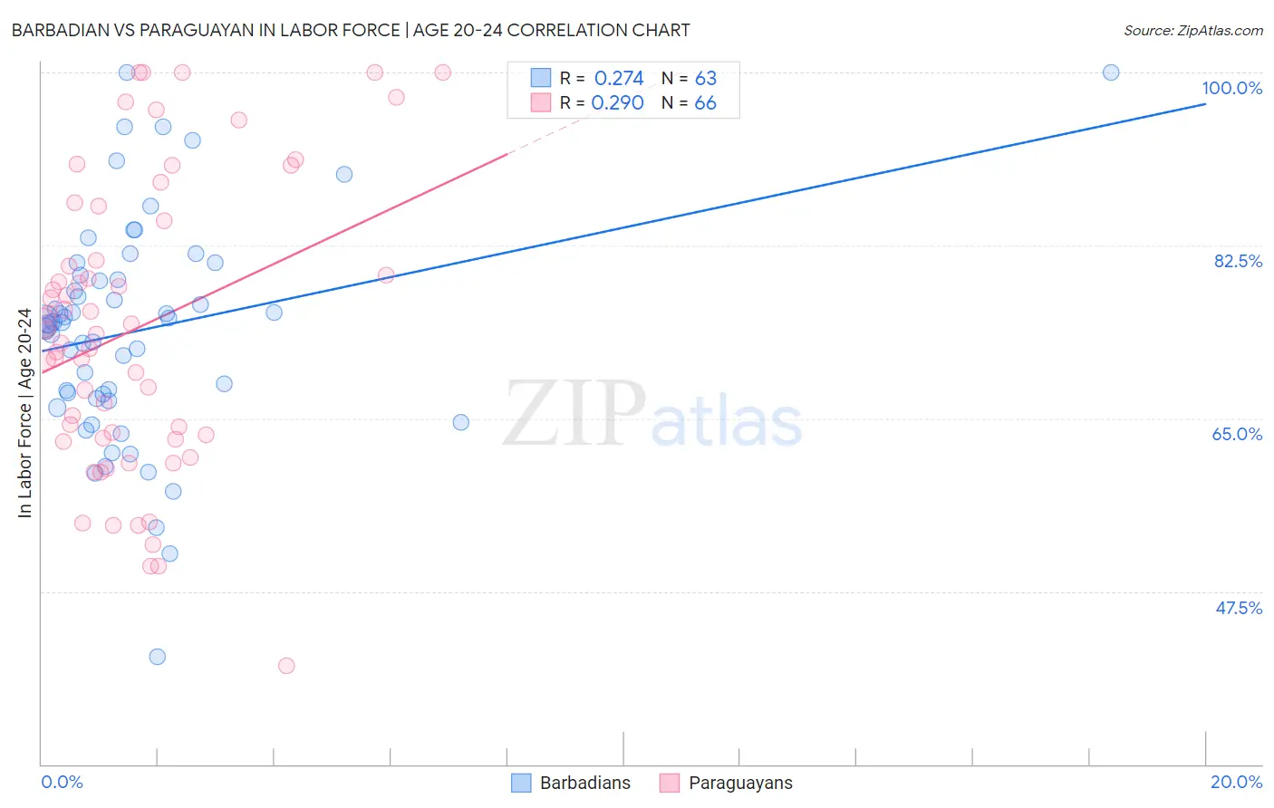 Barbadian vs Paraguayan In Labor Force | Age 20-24