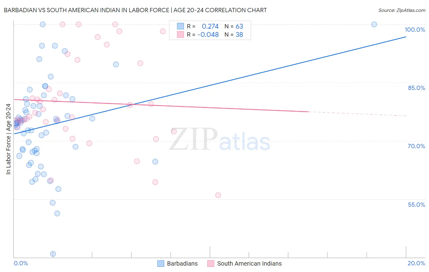 Barbadian vs South American Indian In Labor Force | Age 20-24