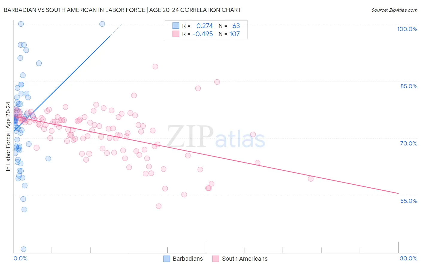 Barbadian vs South American In Labor Force | Age 20-24