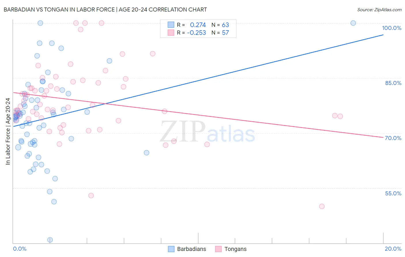 Barbadian vs Tongan In Labor Force | Age 20-24