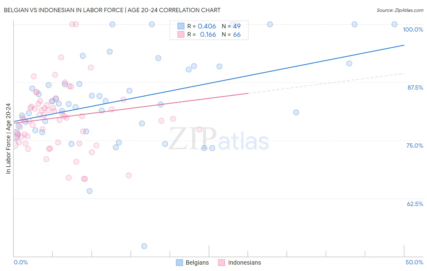 Belgian vs Indonesian In Labor Force | Age 20-24