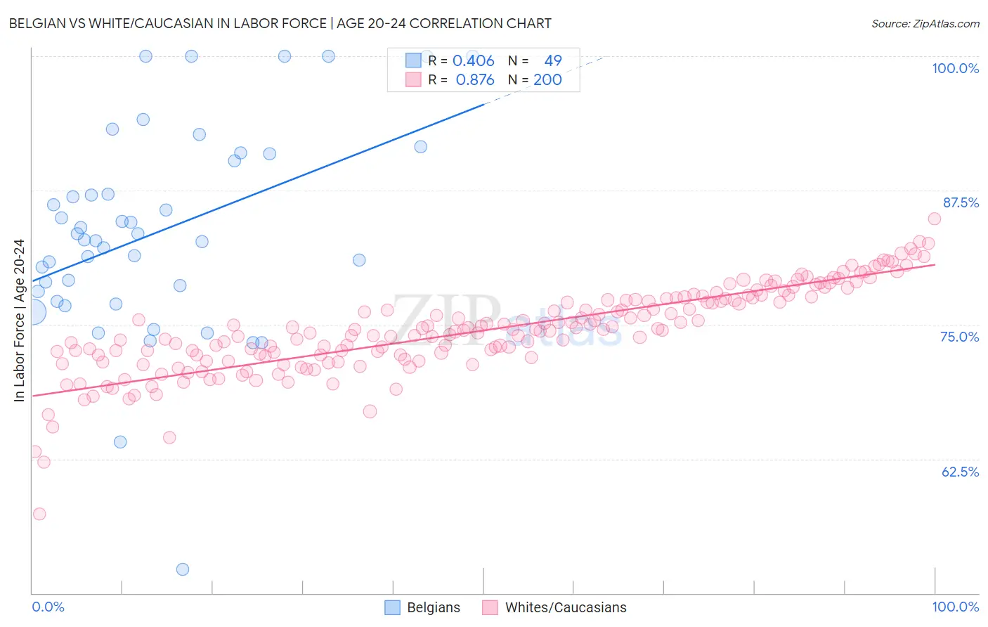 Belgian vs White/Caucasian In Labor Force | Age 20-24