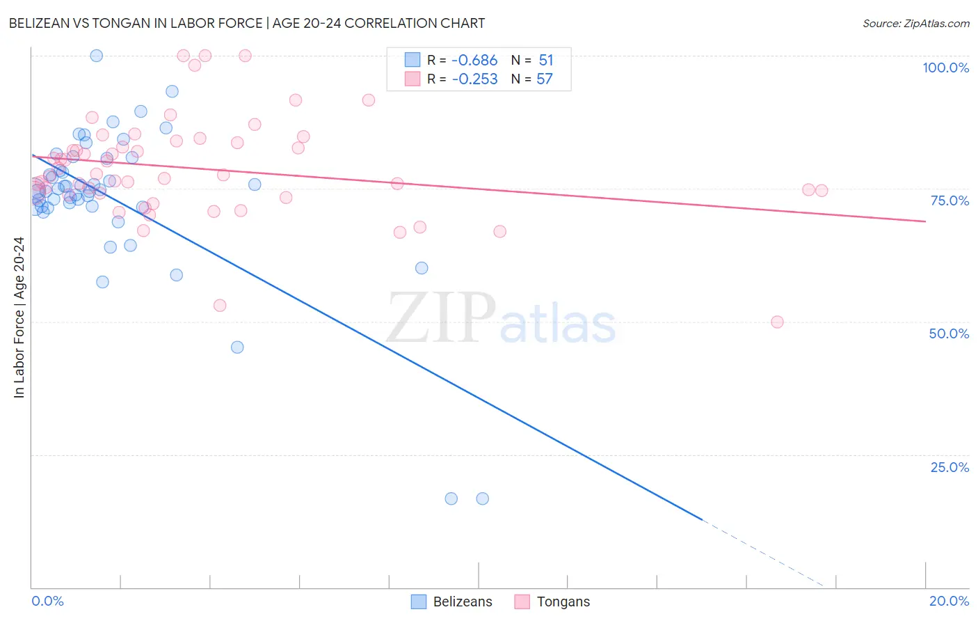 Belizean vs Tongan In Labor Force | Age 20-24