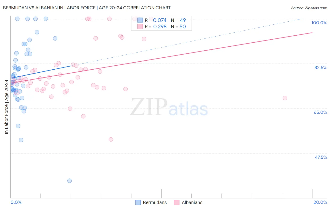 Bermudan vs Albanian In Labor Force | Age 20-24