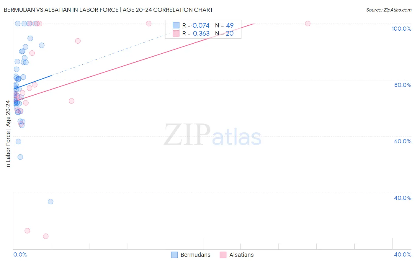 Bermudan vs Alsatian In Labor Force | Age 20-24