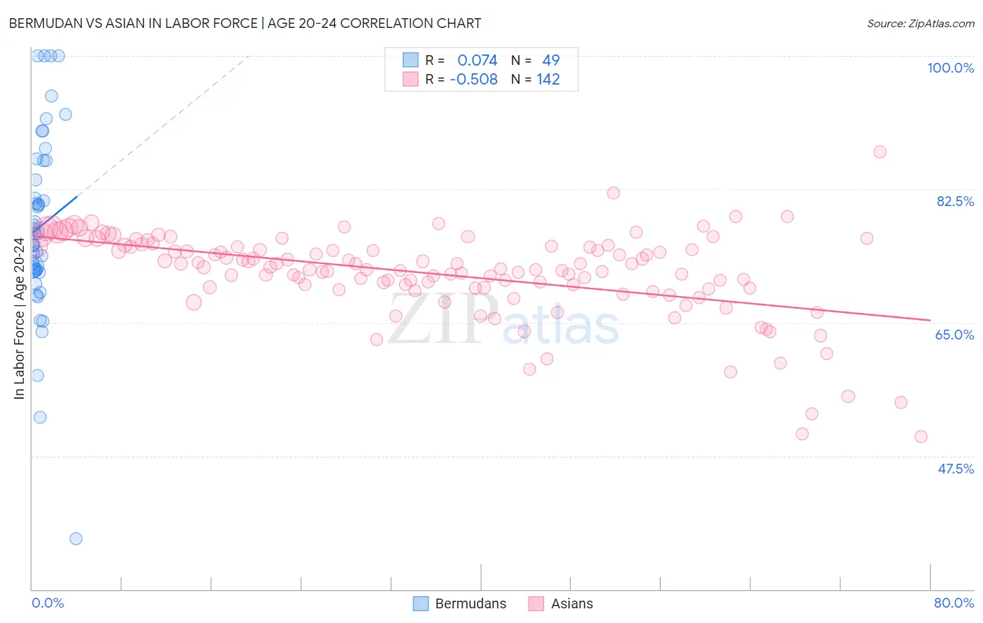 Bermudan vs Asian In Labor Force | Age 20-24