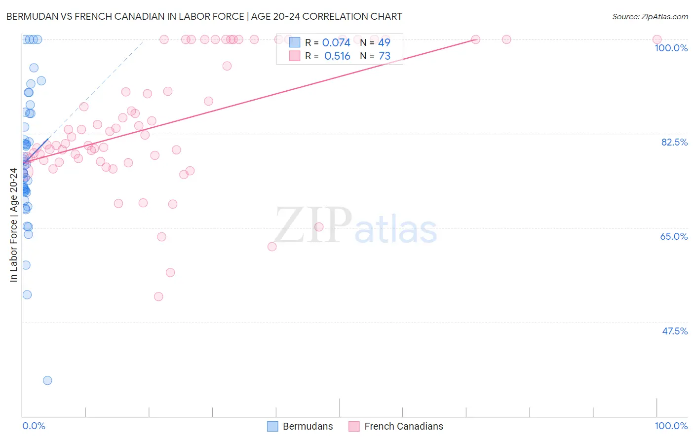 Bermudan vs French Canadian In Labor Force | Age 20-24