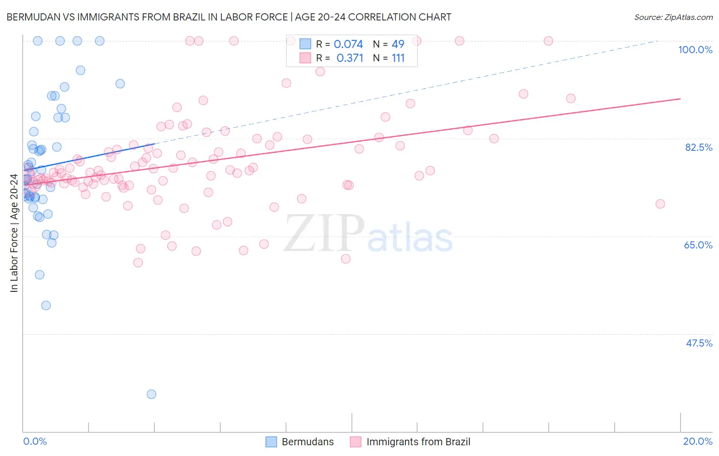 Bermudan vs Immigrants from Brazil In Labor Force | Age 20-24