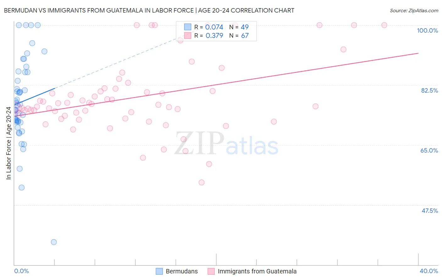 Bermudan vs Immigrants from Guatemala In Labor Force | Age 20-24