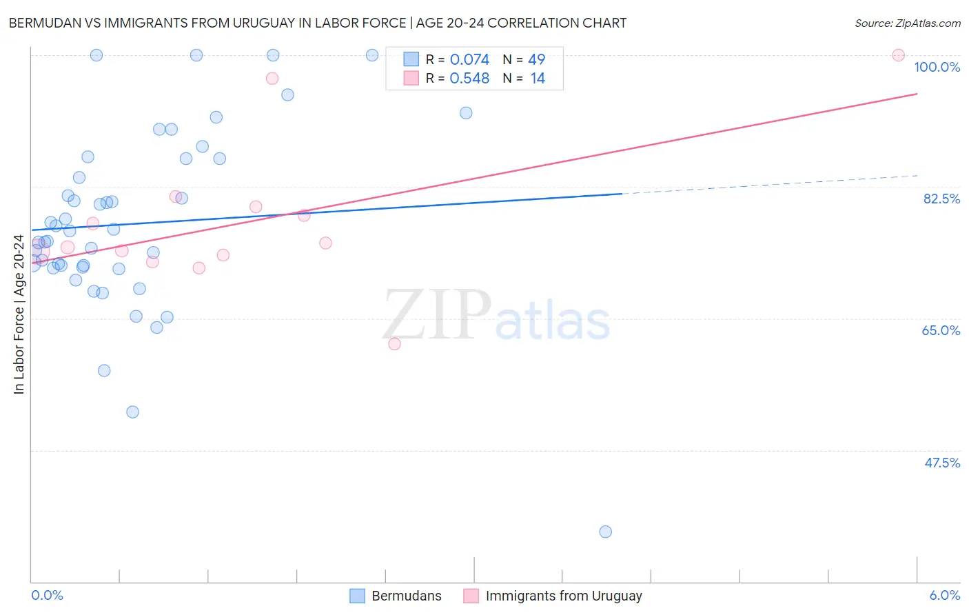 Bermudan vs Immigrants from Uruguay In Labor Force | Age 20-24