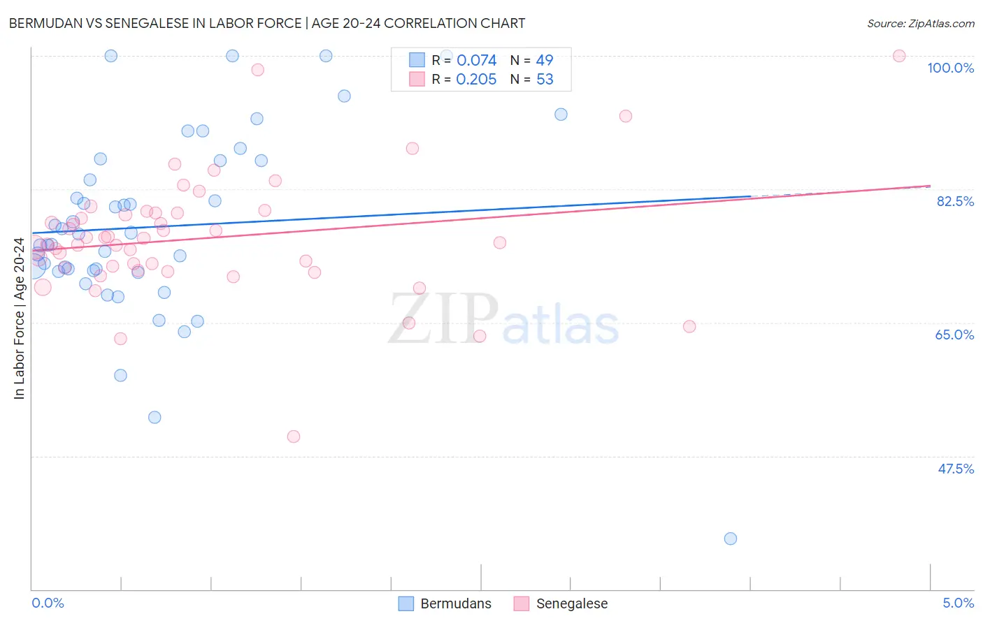 Bermudan vs Senegalese In Labor Force | Age 20-24