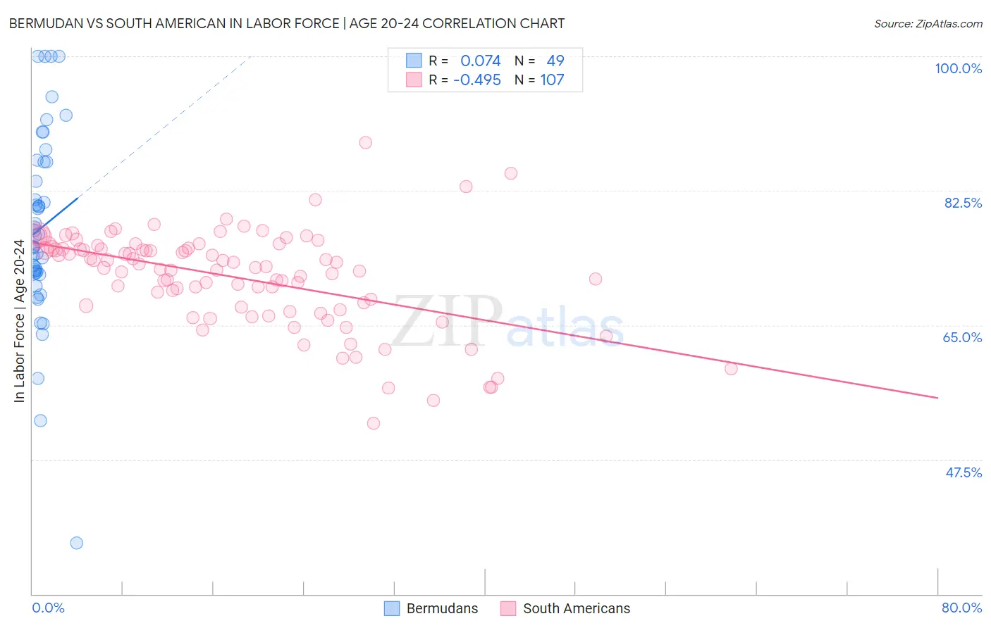 Bermudan vs South American In Labor Force | Age 20-24