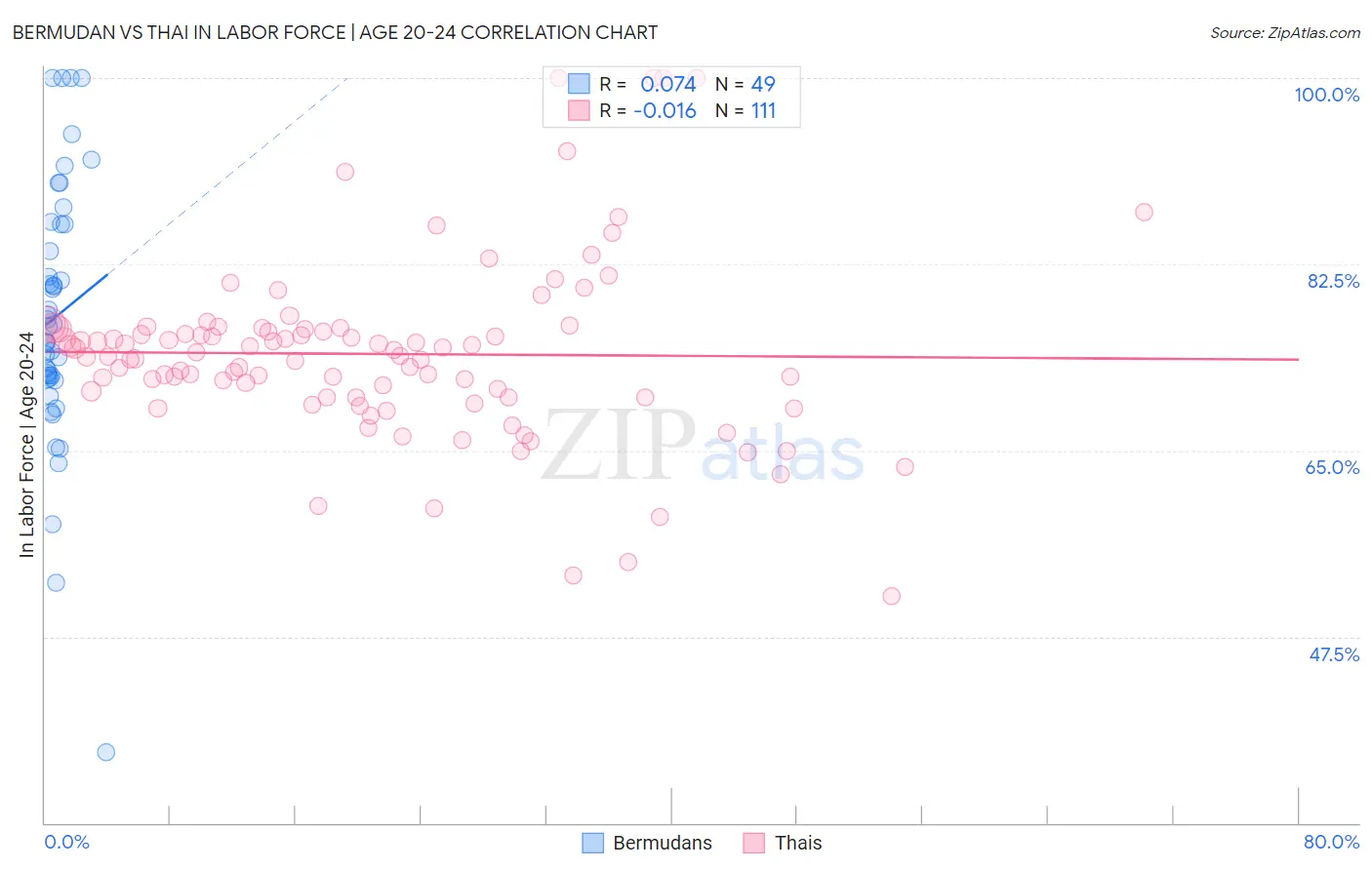 Bermudan vs Thai In Labor Force | Age 20-24