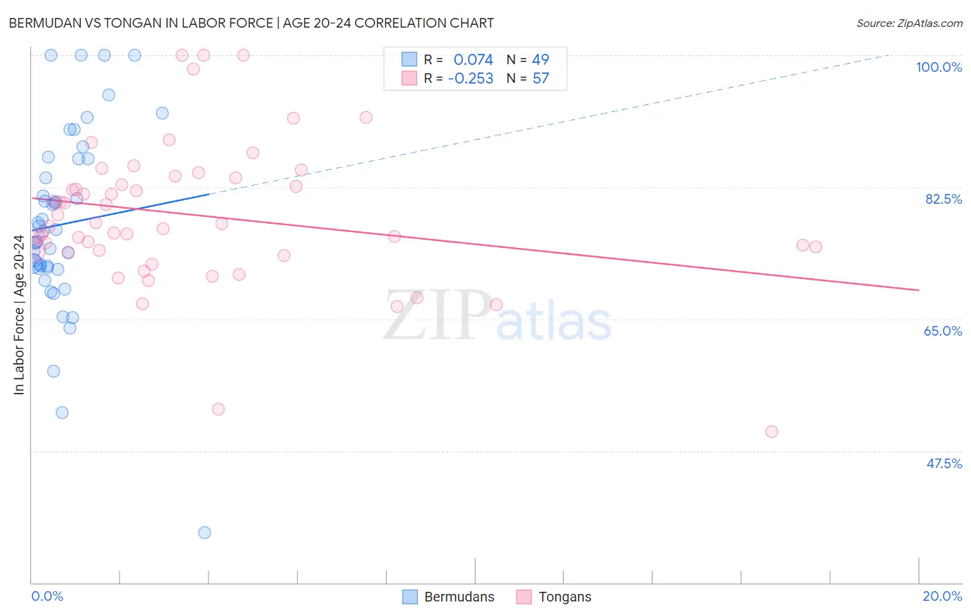 Bermudan vs Tongan In Labor Force | Age 20-24