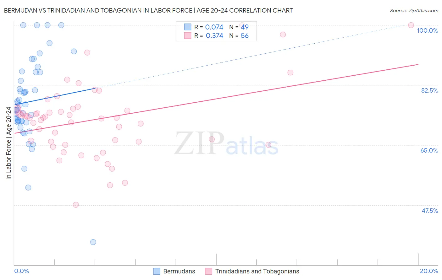 Bermudan vs Trinidadian and Tobagonian In Labor Force | Age 20-24