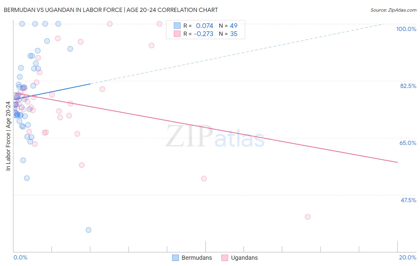 Bermudan vs Ugandan In Labor Force | Age 20-24