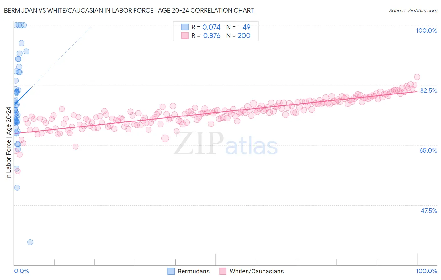 Bermudan vs White/Caucasian In Labor Force | Age 20-24