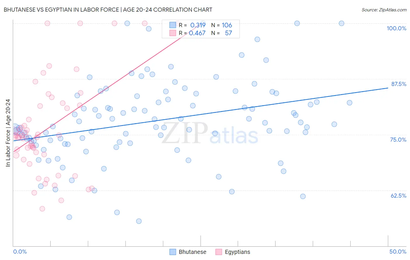 Bhutanese vs Egyptian In Labor Force | Age 20-24