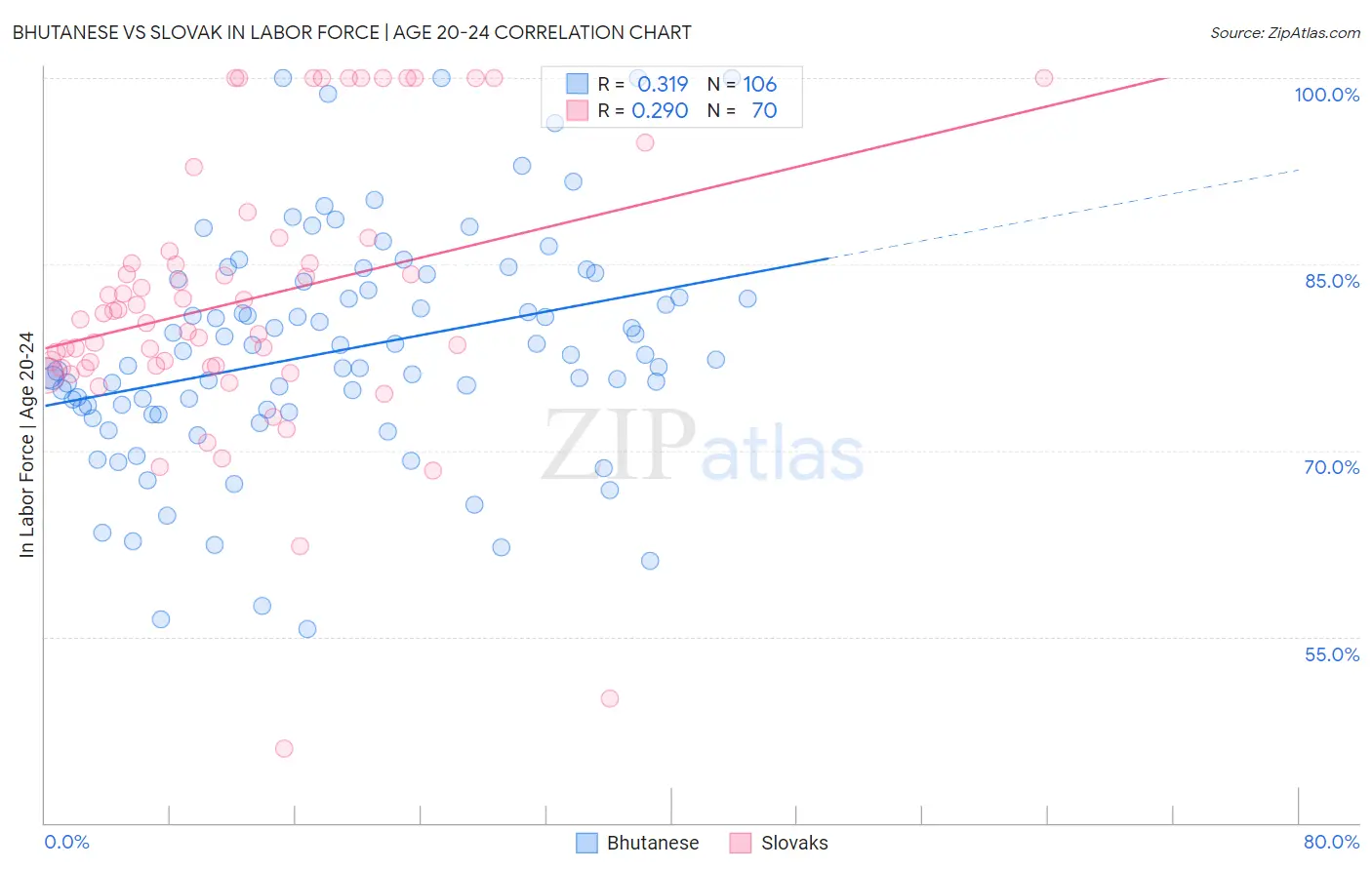 Bhutanese vs Slovak In Labor Force | Age 20-24