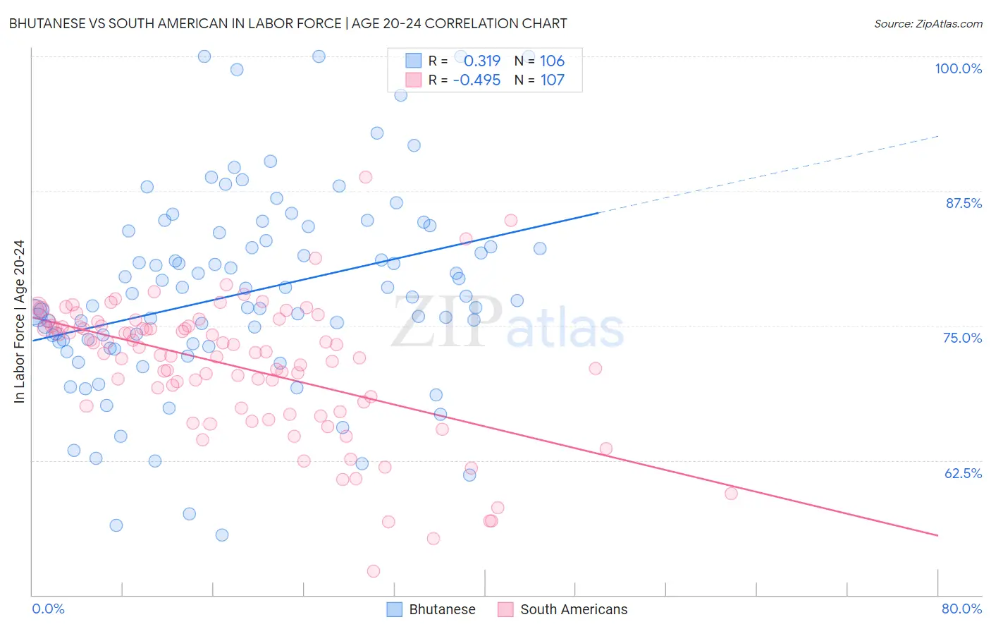 Bhutanese vs South American In Labor Force | Age 20-24