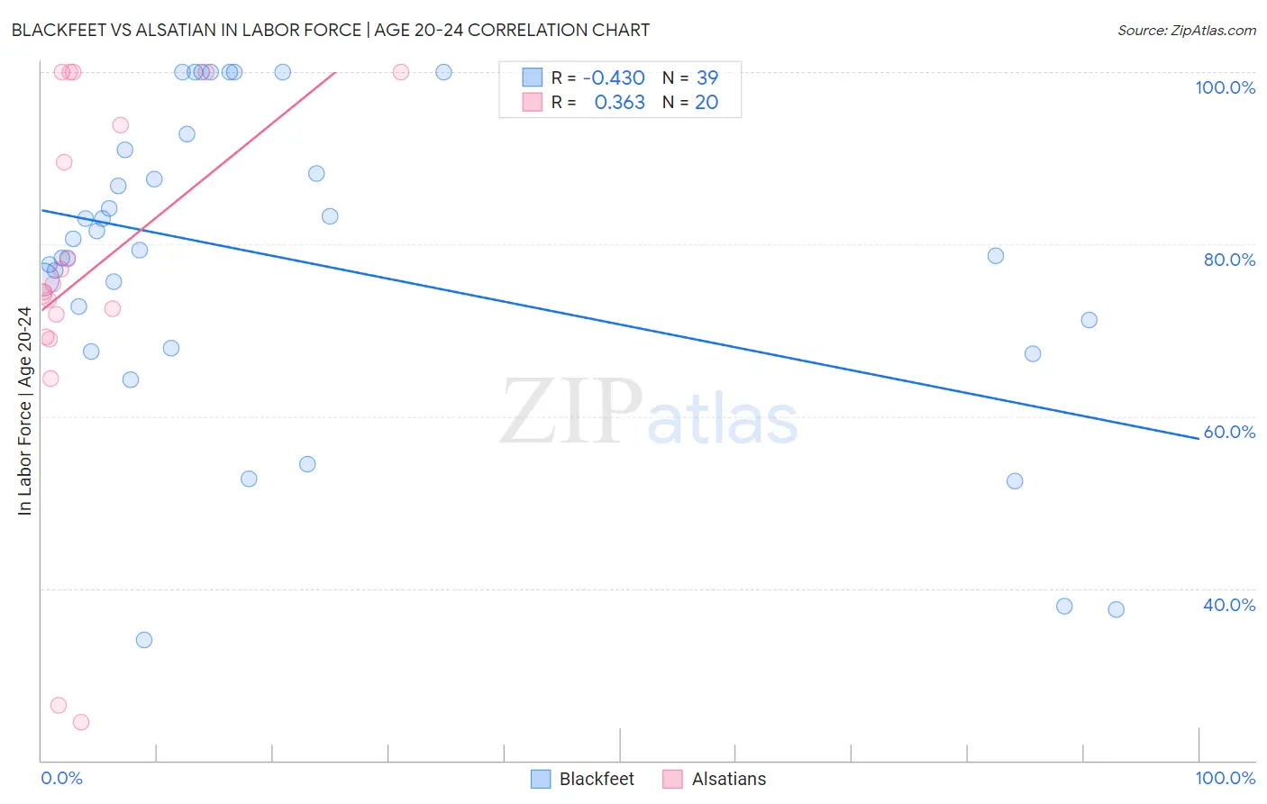 Blackfeet vs Alsatian In Labor Force | Age 20-24