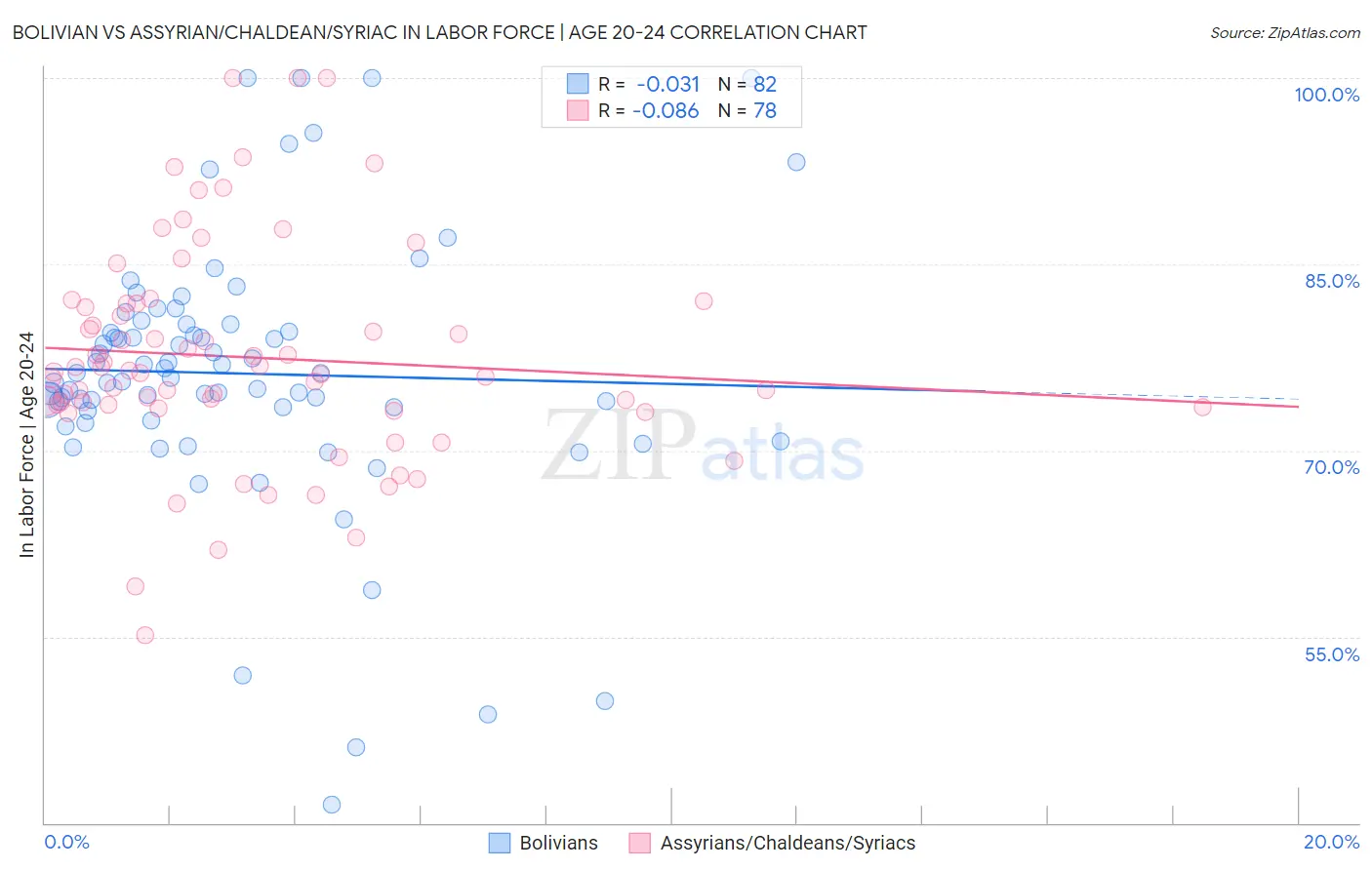 Bolivian vs Assyrian/Chaldean/Syriac In Labor Force | Age 20-24