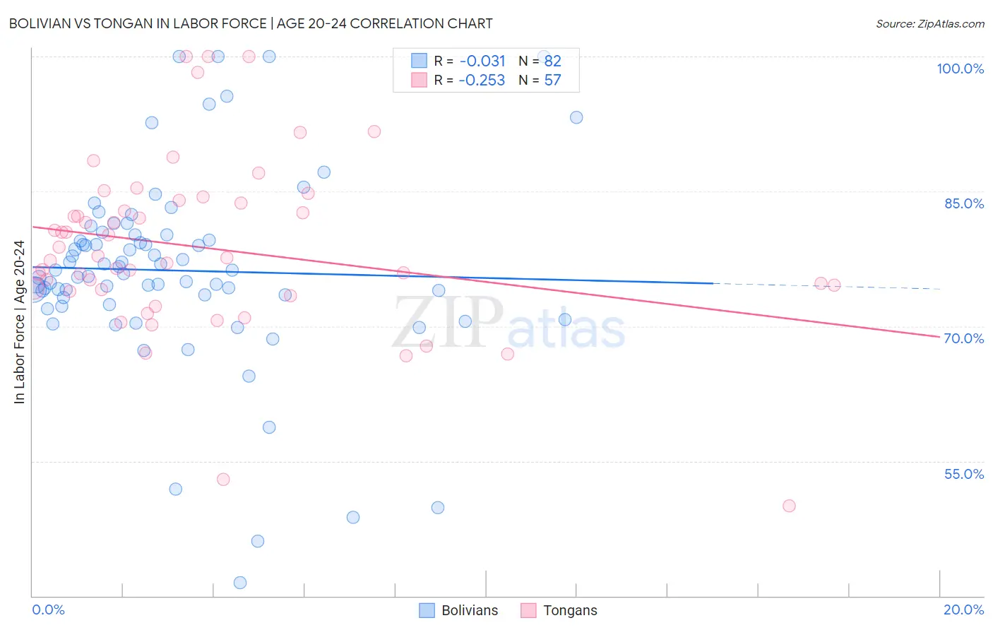 Bolivian vs Tongan In Labor Force | Age 20-24