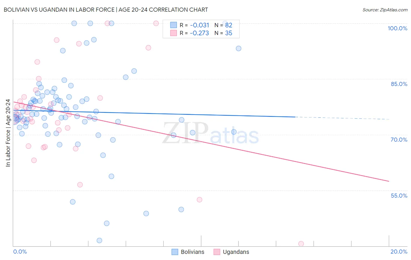 Bolivian vs Ugandan In Labor Force | Age 20-24
