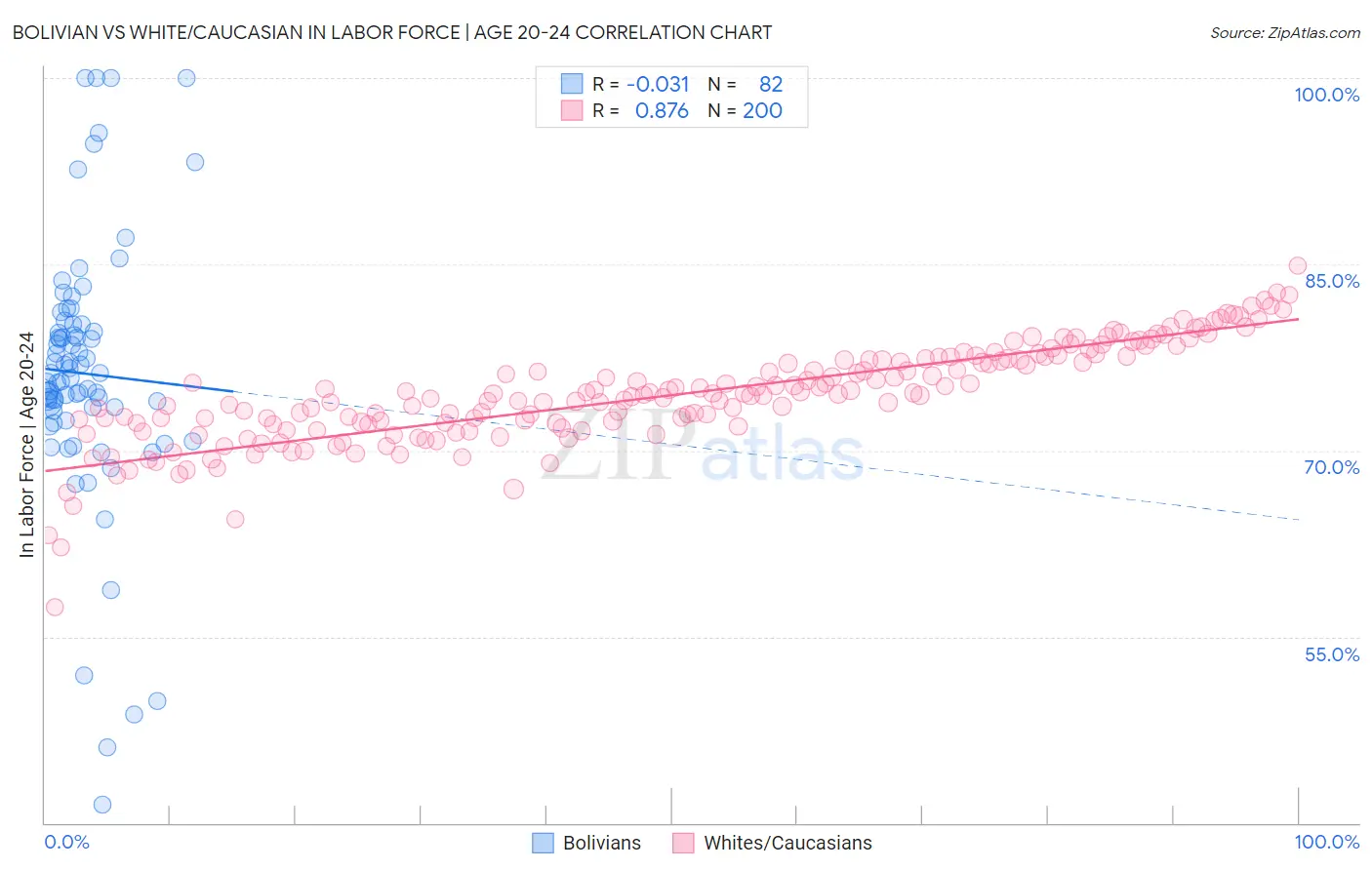 Bolivian vs White/Caucasian In Labor Force | Age 20-24