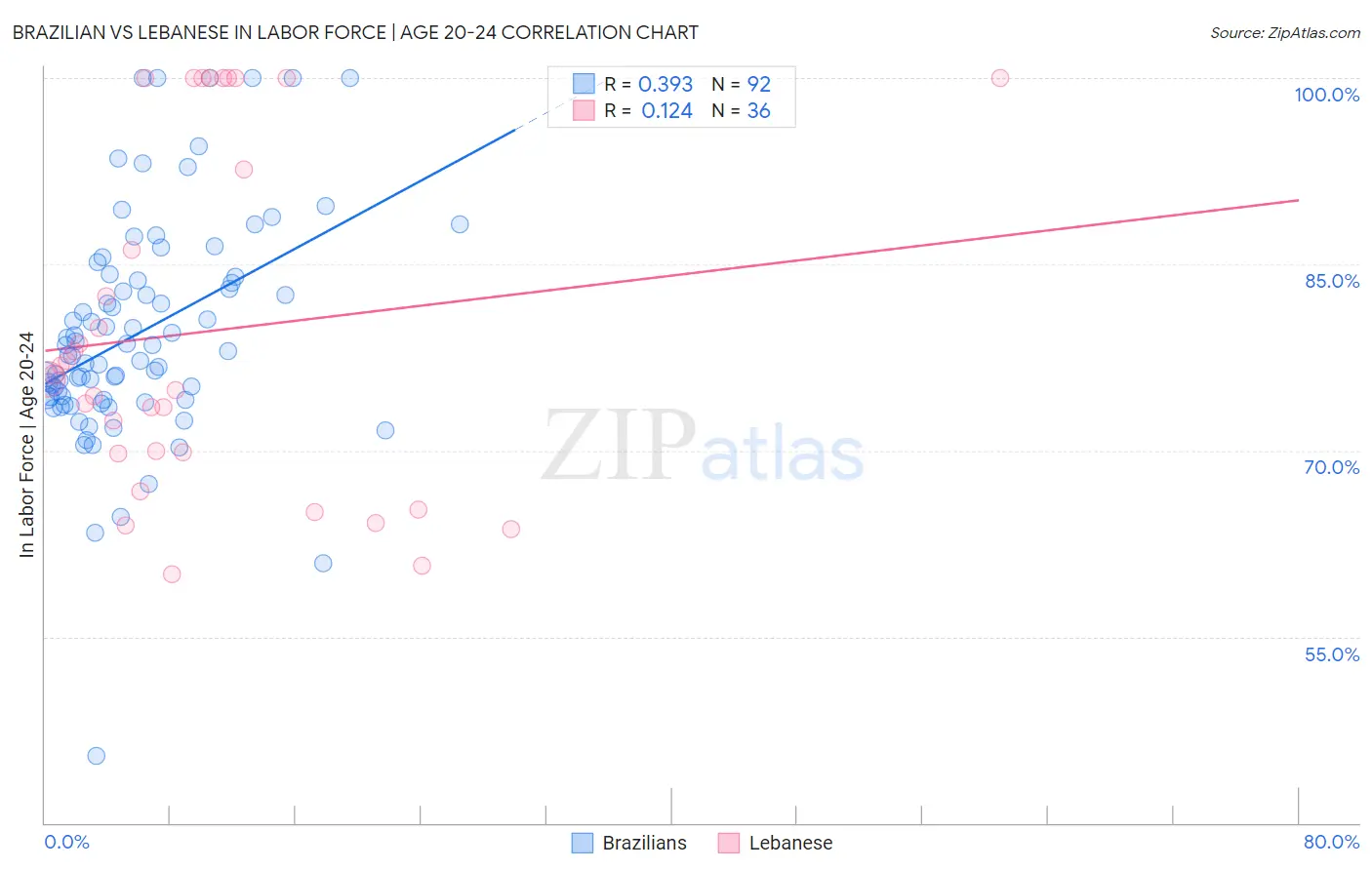 Brazilian vs Lebanese In Labor Force | Age 20-24