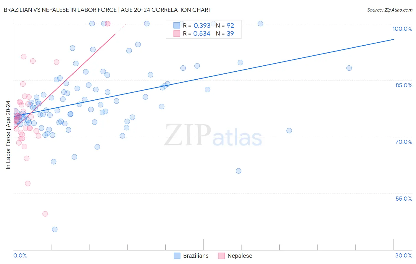 Brazilian vs Nepalese In Labor Force | Age 20-24
