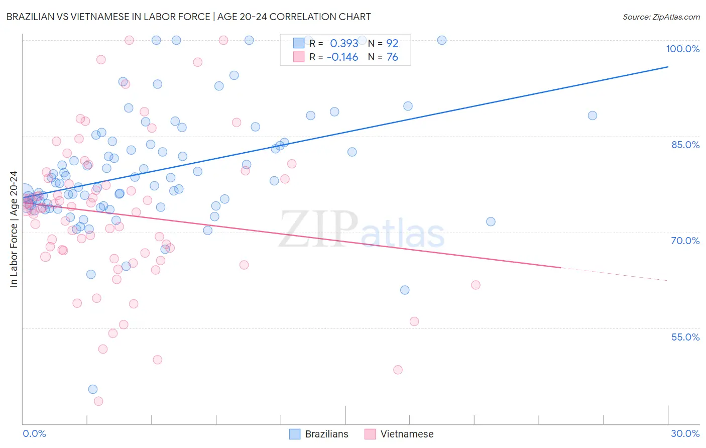 Brazilian vs Vietnamese In Labor Force | Age 20-24