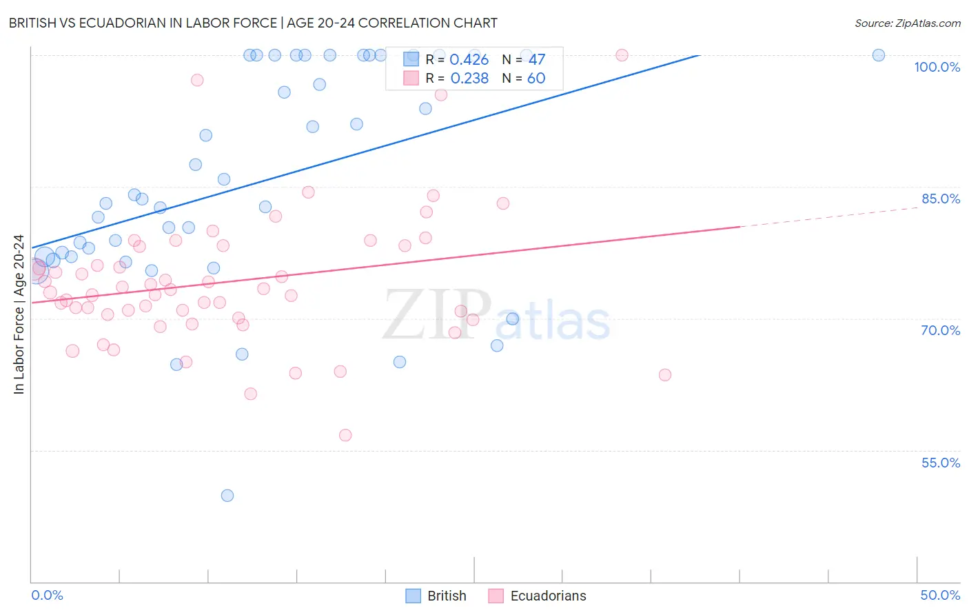 British vs Ecuadorian In Labor Force | Age 20-24