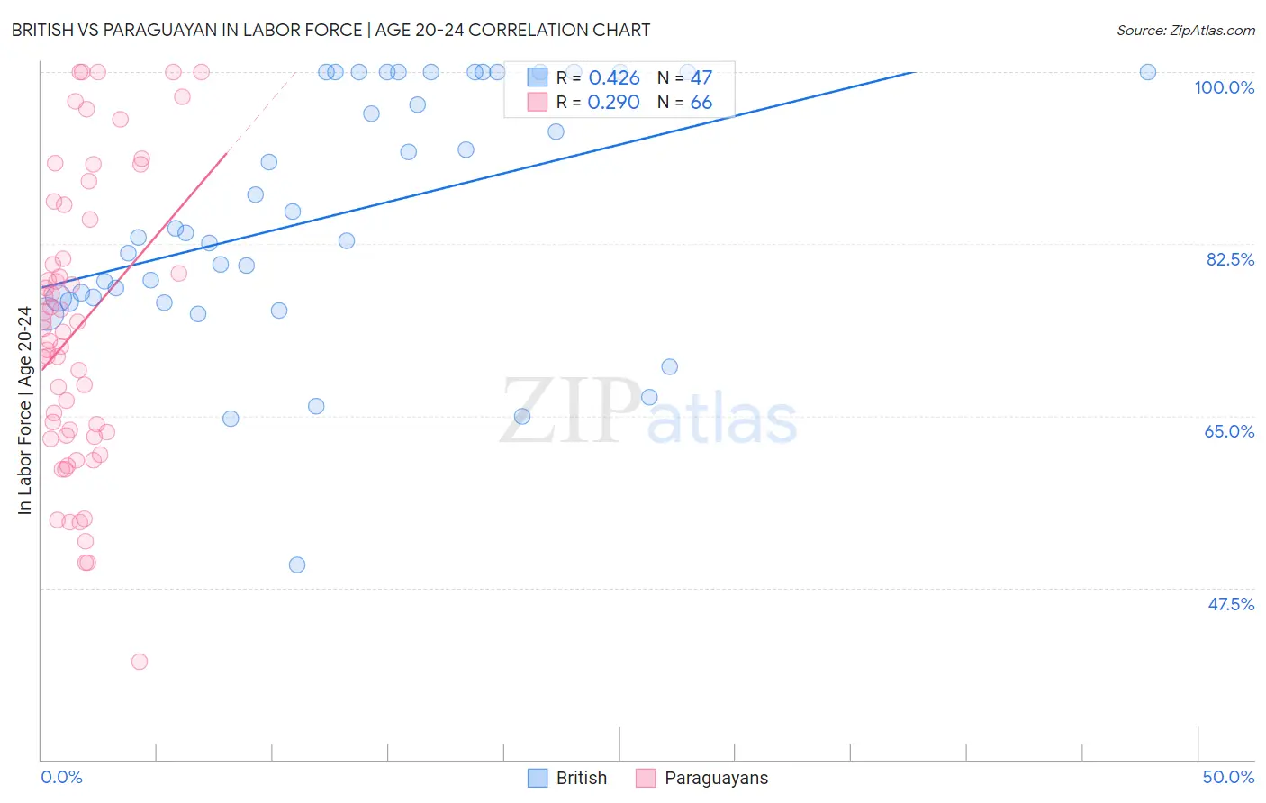 British vs Paraguayan In Labor Force | Age 20-24