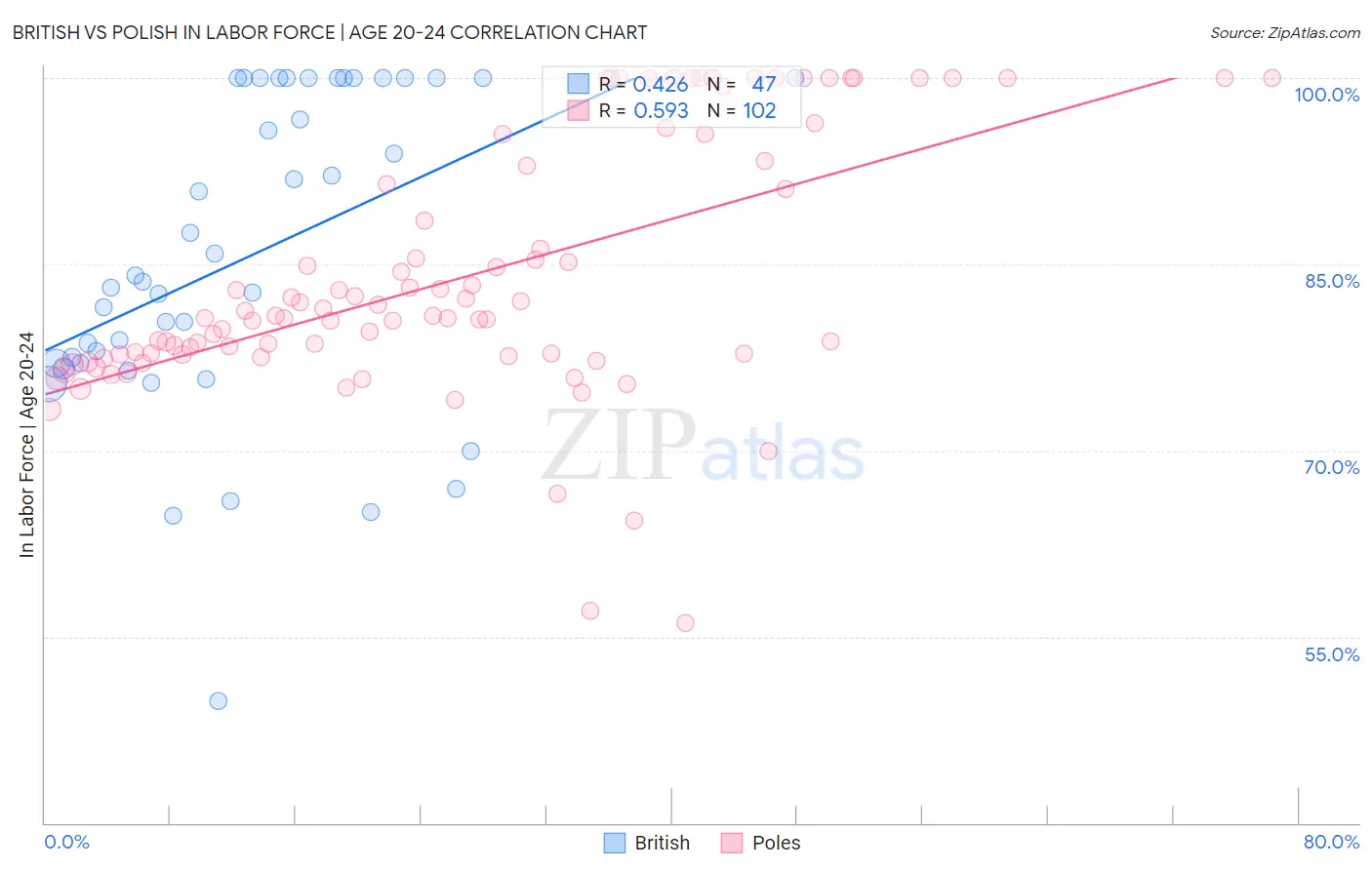 British vs Polish In Labor Force | Age 20-24