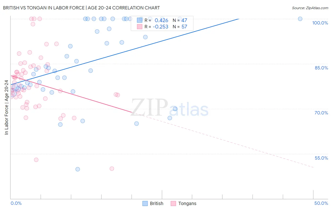 British vs Tongan In Labor Force | Age 20-24