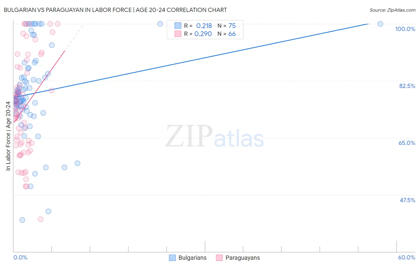 Bulgarian vs Paraguayan In Labor Force | Age 20-24