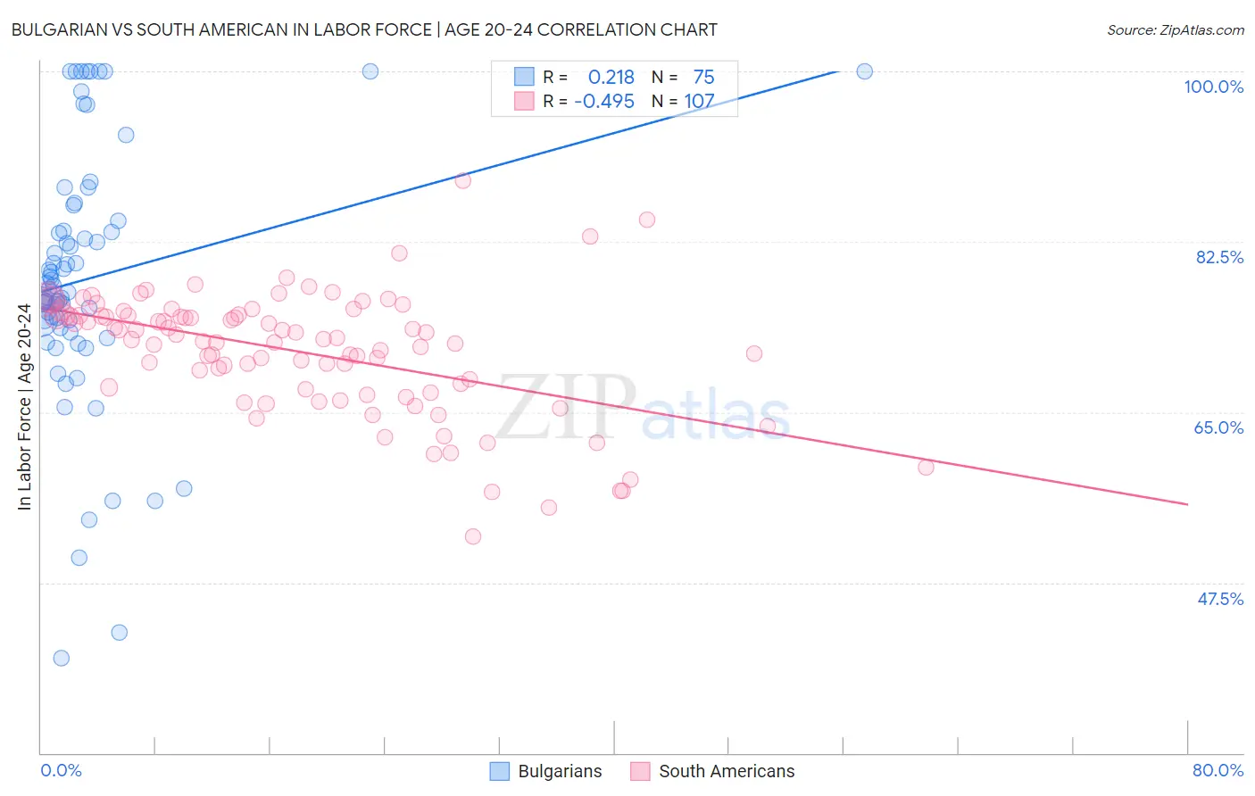 Bulgarian vs South American In Labor Force | Age 20-24