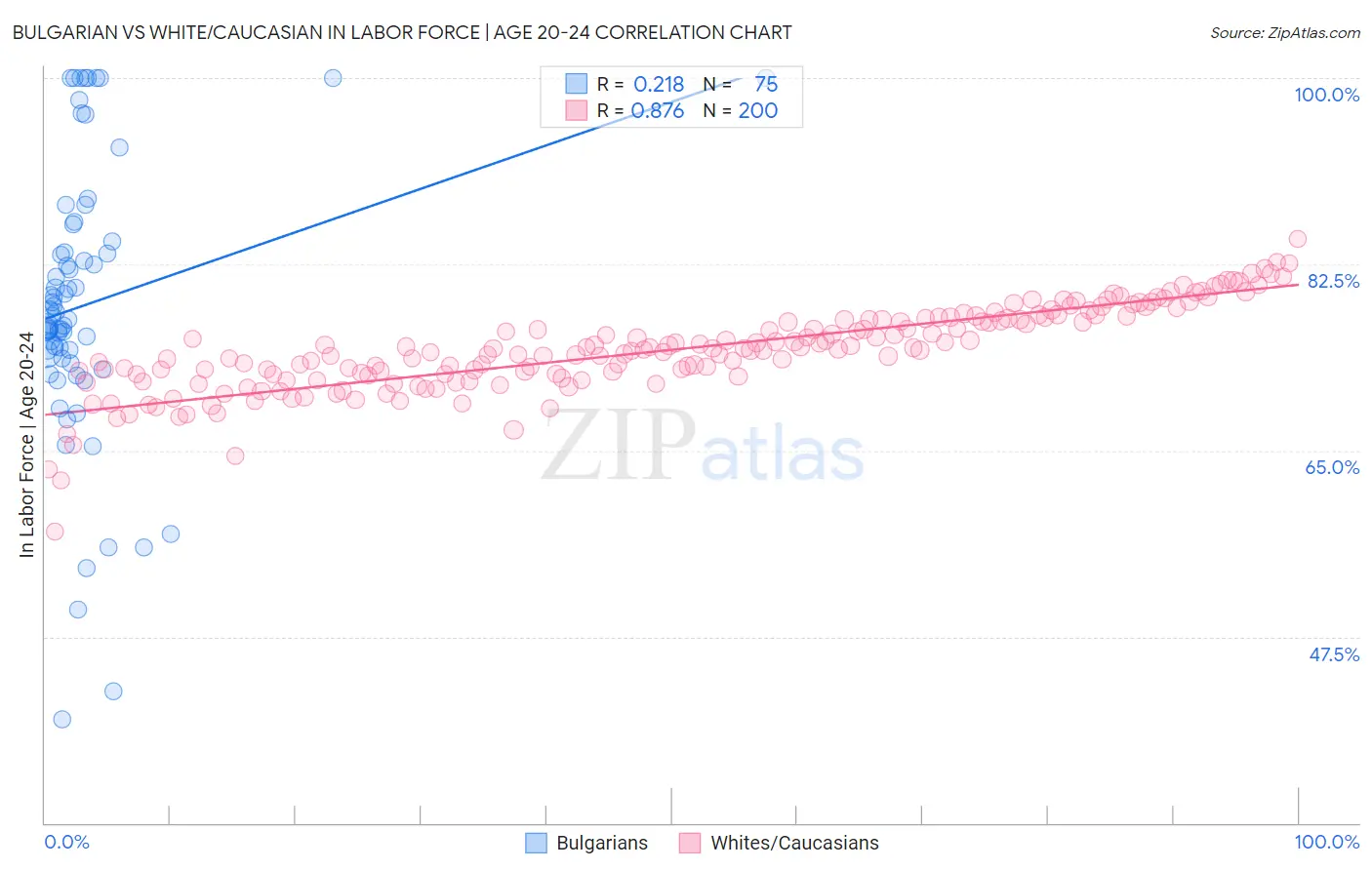 Bulgarian vs White/Caucasian In Labor Force | Age 20-24