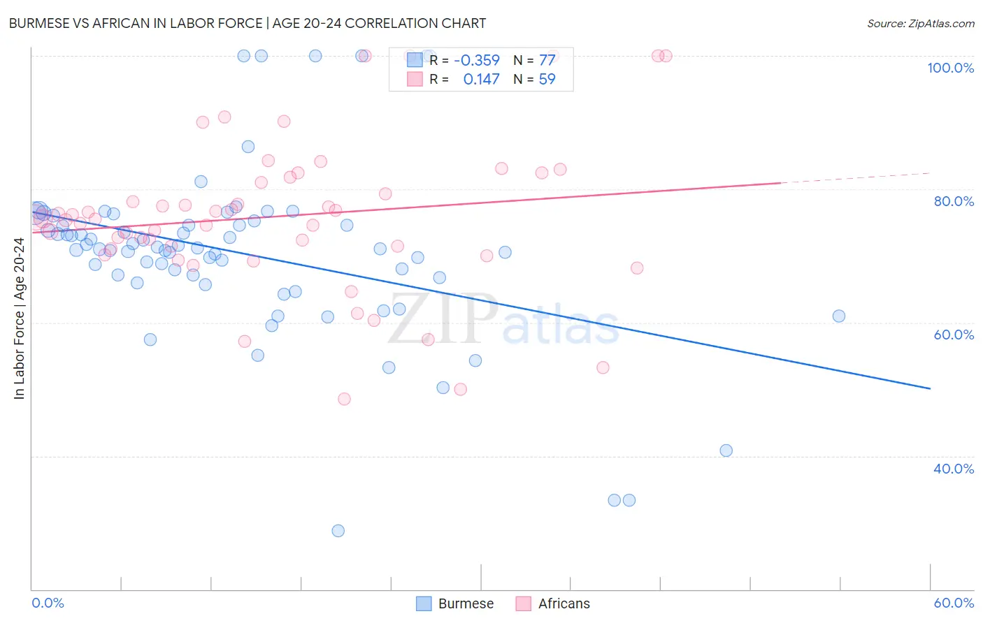Burmese vs African In Labor Force | Age 20-24