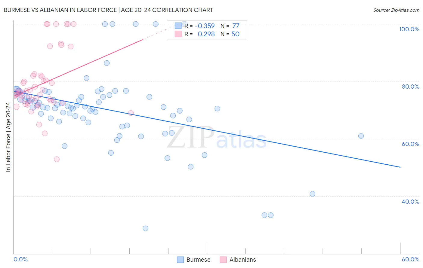 Burmese vs Albanian In Labor Force | Age 20-24