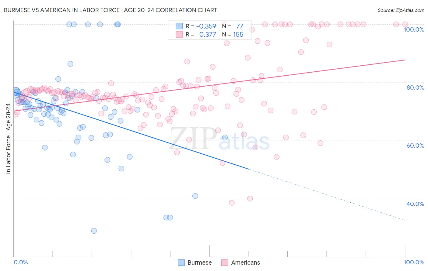 Burmese vs American In Labor Force | Age 20-24